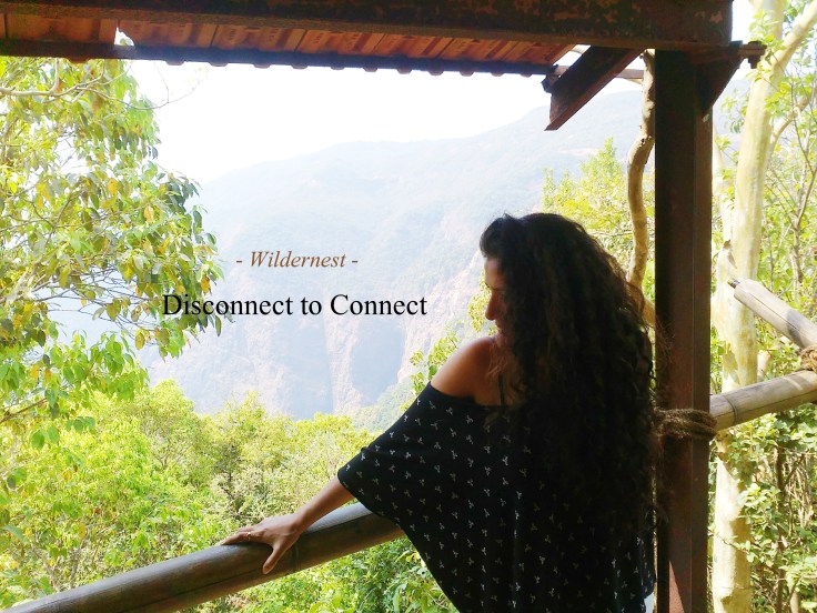 Wildernest - Disconnect to Connect