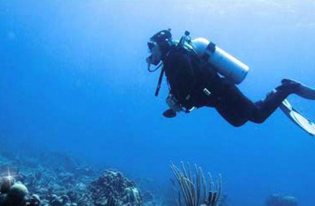 Diving in Tarkarli